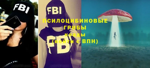 молекула духа Грязи
