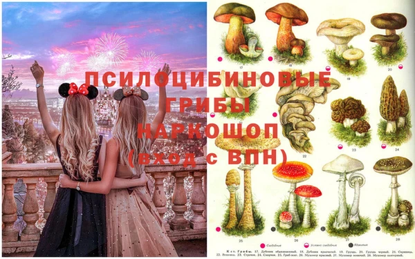 молекула духа Грязи