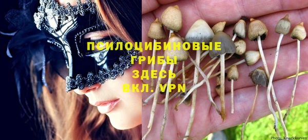 дживик Переславль-Залесский