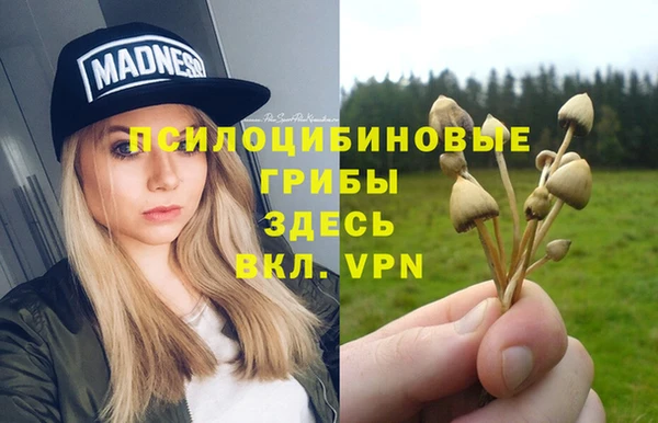 кокс Пестово