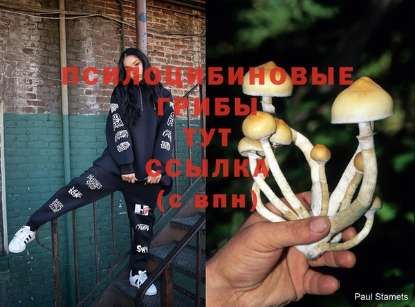альфа пвп VHQ Губаха