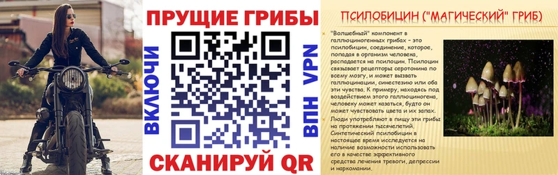 Псилоцибиновые грибы Magic Shrooms  Тарко-Сале 